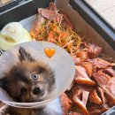 진성미디어 | 고양 맛집 산골항아리바베큐 원당점 애견동반 가능 🍖