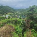 구암경로당 | 다인면 달제리 - 영월신씨, 신일화의 구암정(龜巖亭)1801년