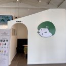 하이파파