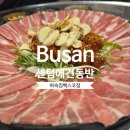 애견호텔 "중독" | 부산 애견동반 식당 해운대 센텀 벡스코 맛집 하숙집 벡스코점 후기