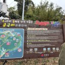 몽돌밭남쪽화장실 | 거제도 여행 공곶이 수선화 개화상태 애견동반 후기