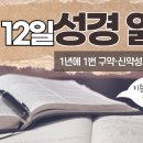 [가톨릭 성경 통독] 12월 12일 성경 읽기 | 지혜서 14-16장 | 이미지