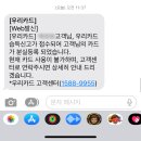 공공피자 이미지