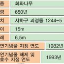 [나무야 놀자] 2. 괴정 회화나무샘터공원 이미지