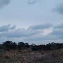 하도바다 | [제주여행] 하도해변 / 겨울 일출 명소, 구름 많아도 인상 깊었던 바다