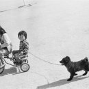 청주시립미술관 이미지