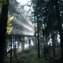 독서와 글쓰기 이미지