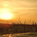 청소년발달 이미지