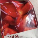 금미식품 | <금미옥 쌀떡볶이>, 이마트 밀키트, 간편식품 조리후기! 솔직한 맛평가