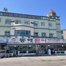강원도 고성 물회 동해활어자연산전문점 횟집