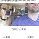 조아PC | 안산 대부도 뉴현대자동차운전학원에서 2종보통 운전면허 취득한 후기