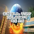 커피주의보