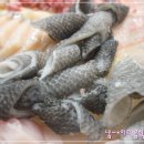 유달식당 이미지