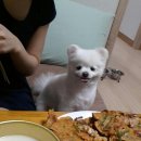 한입만 이미지