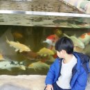시후네샾 | [대전 아쿠아리움]대전 수족관/세종 근처 가볼만한곳/비오는날 가볼만한곳/세종 아이들과 가볼만한곳
