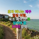 제주야놀자 민박 | 혼자 떠나는 제주 힐링 여행, 숙소 예약 전 꼭 알아야 할 3가지 함정