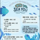 거북이만 보고 와도 만족 100%인 소류구 당일치기 후기(feat. Sea you Liuqiu 스노클링업체,소류구가는...