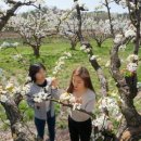 나무나무 이미지