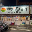 제주뒷고기 티스토리