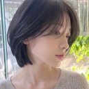 은성미용실 네이버블로그