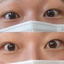 광교속눈썹펌 잘하는곳 스튜디오누은광교본점 케라틴스파펌 후기