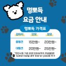 멍뽀득 | 천안아산 중대형견 목욕 고민 끝! '멍뽀득' 출장 목욕 이용 후기