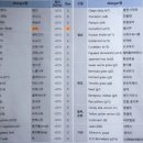 원캠 이미지