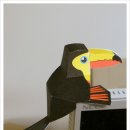 큰부리새(toucan) 이미지