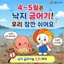 바다낙지사랑