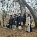 봄여름가을겨울카페 네이버블로그