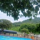 일박이일 B 이미지