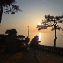 노을그려진바다풍경 | 인천 장봉도 여행 배시간 마을버스 정류장 노을 그려진 바다풍경 펜션