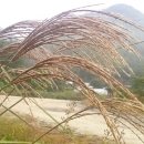 공작산비룡펜션 이미지