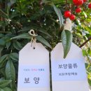 그린 라이프 물류 이미지