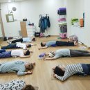 몸펴기생활운동 이미지