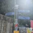 여수챌린지파크(2025년12월예정) Daum카페