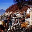 황청포구로 이미지