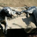 신계농장 이미지