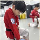 우정태권도장 이미지