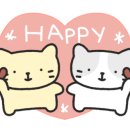 고양이 미용 미오 이미지