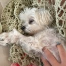 천안배원예농업협동조합(입장) | #9 안녕 여름, 휴가를 곁들인 팔구월 일상 몰아쓰기