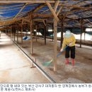 오리용 이미지