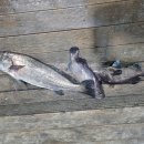 중해레저낚시터 이미지