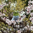 봄스프링 이미지