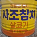 큰손참치 이미지