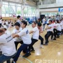 흰돌체육관 이미지