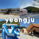 머문 맞은편 주차장 | 영주 여우골 글램핑 폐교 감성 가성비 글램핑 물놀이 후기