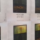 마당말들 이미지