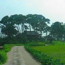 석탄정(石灘亭) 이미지