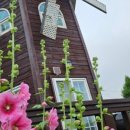 펜션파인씨 이미지